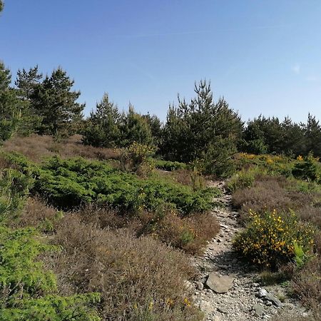 Gite Cote Nature Cabrerolles Экстерьер фото