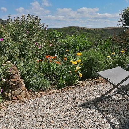 Gite Cote Nature Cabrerolles Экстерьер фото