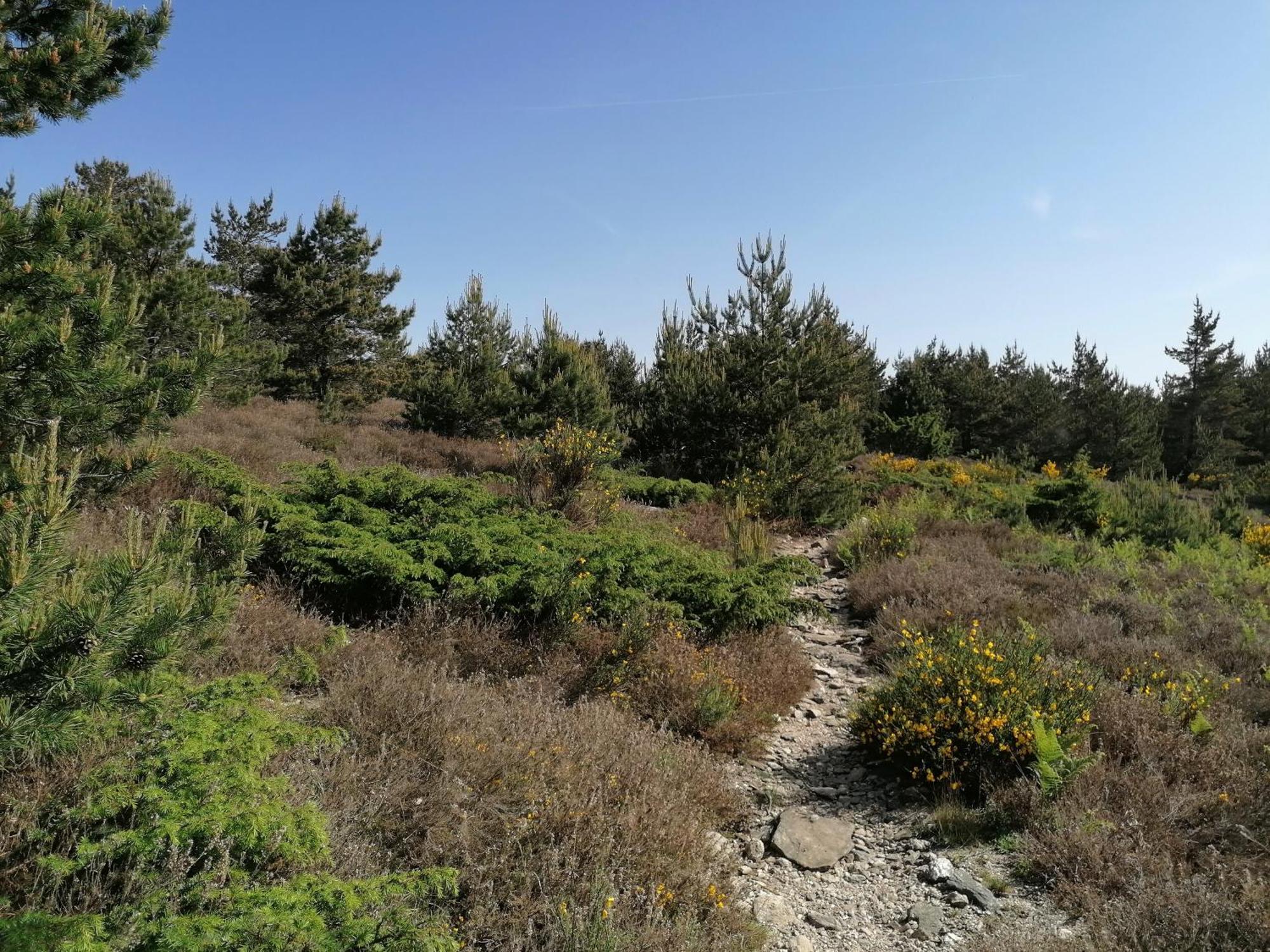 Gite Cote Nature Cabrerolles Экстерьер фото